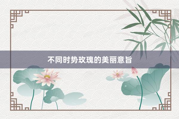 不同时势玫瑰的美丽意旨