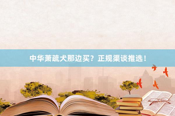 中华萧疏犬那边买?正规渠谈推选!